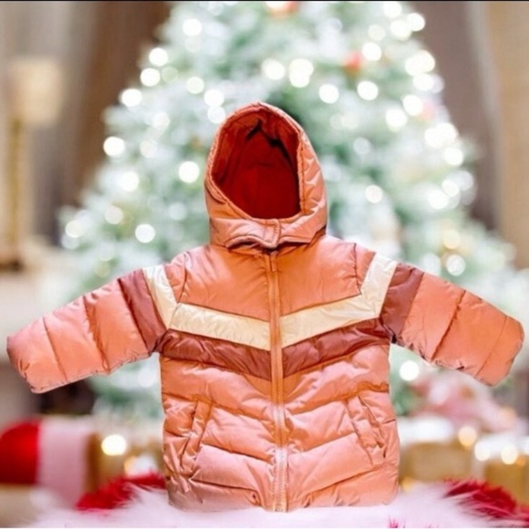 Toddler Girls’ 🌸Pink Platinum🌸 Winter Coat size 24M kids’ winter warm - Picture 14 of 14